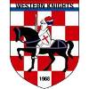 威斯顿骑士